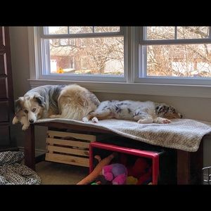 Meet your Posher, Jillian